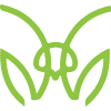 Mantis